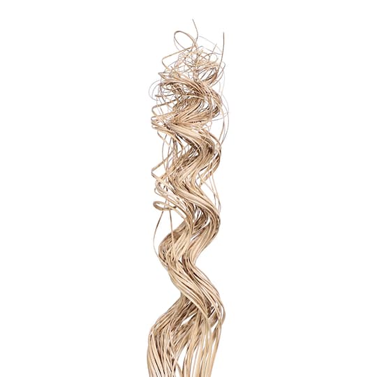 TF Publishing Natural Curly Ting Branch Stems, 35ct.